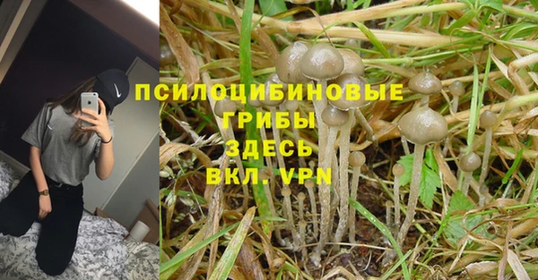 a pvp Краснослободск
